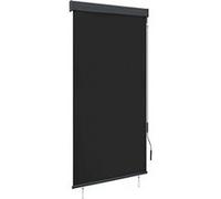 Vidaxl Store Roulant D'extérieur 80 X 250 Cm Anthracite