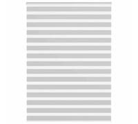 vidaXL Store zèbre Gris Clair Largeur du Tissu 150,9 cm Polyester, Store à Enrouleur zébré, Store zébré pour fenêtre, Store zébré pour vitre