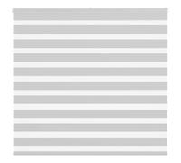 vidaXL Store zèbre Gris Clair Largeur du Tissu 155,9 cm Polyester, Store à Enrouleur zébré, Store zébré pour fenêtre, Store zébré pour vitre