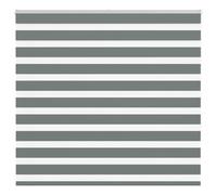 vidaXL Store zèbre Gris foncé Largeur du Tissu 150,9 cm Polyester, Store à Enrouleur zébré, Store zébré pour fenêtre, Store zébré pour vitre