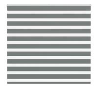 vidaXL Store zèbre Gris foncé Largeur du Tissu 155,9 cm Polyester, Store à Enrouleur zébré, Store zébré pour fenêtre, Store zébré pour vitre