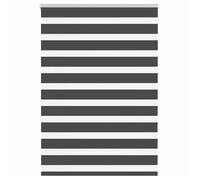 vidaXL Store zèbre à enrouleur Noir 110x100 cm Polyester largeur du tissu 105,9 cm
