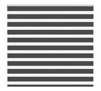 vidaXL Store zèbre enrouleur 165x150 cm noir polyester (tissu 160,9 cm)