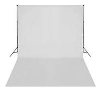 vidaXL Support de fond studio photo avec blanc 500x300 cm Blanc G