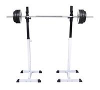 vidaXL Support pour squats/ haltères longs avec ensemble d'haltères 60,5 kg