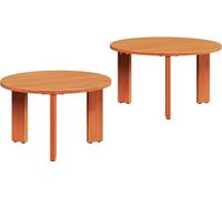 vidaXL Table basse 2 pcs cire brune 47,5 x 47,5 x 27 cm