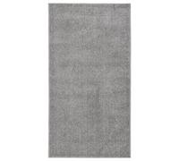 Vidaxl Tapis À Poils Courts 80x150 Cm Gris