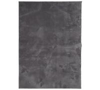 vidaXL Tapis à Poils Courts Doux et Lavable, Moquette de Sol, Tapis de Zone, Carpette de Salon Salle de Séjour, Moderne, Anthracite 200x280 cm