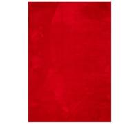 Tapis à Poils Courts Doux et Lavable Moquette Anthracite 160x230 cm vidaXL