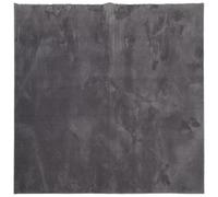 vidaXL Tapis à Poils Courts Doux et Lavable, Moquette de Sol, Tapis de Zone, Carpette de Salon Salle de Séjour, Moderne, Anthracite 160x160 cm