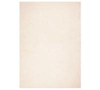 vidaXL Tapis à Poils Courts Doux et Lavable, Moquette de Sol, Tapis de Zone, Carpette de Salon Salle de Séjour Chambre, Moderne, Beige 240x340 cm