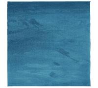 vidaXL Tapis à Poils Courts, Tapis Moelleux de Sol, Décoration Intérieure Salon Chambre à Coucher Bureau Couloir, Moderne, Turquoise 240x240 cm