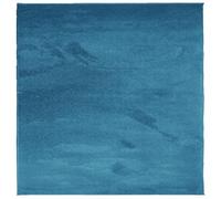 vidaXL Tapis à Poils Courts, Tapis Moelleux de Sol, Décoration Intérieure Salon Chambre à Coucher Bureau Couloir, Moderne, Turquoise 120x120 cm