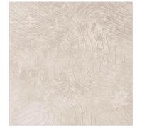 vidaXL Tapis de Surface Carré PALMERAS Beige 240 x 240 cm Polyester, Tapis Moderne Durable avec Design antidérapant pour Salon, Chambre à Coucher ou Bureau, Tapis en Polyester texturé, série Huarte