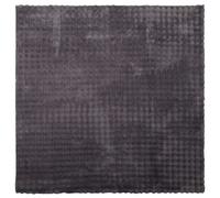 Vidaxl Tapis De Surface Carré Sirolo Anthracite 200 X 200 Cm Polyester