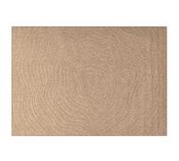 Vidaxl Tapis De Surface Moiré Agira Naturel 340 X 240 Cm Polyester