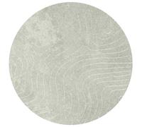 vidaXL Tapis de Surface Rond PALMERAS Vert Ø 120 CM Polyester, Tapis Moderne pour Salon, antidérapant, résistant, Tapis d'intérieur Polyvalent, Facile à Entretenir