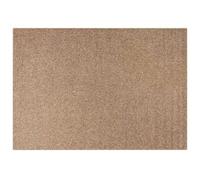 vidaXL Tapis d'intérieur et d'extérieur AGIRA Naturel 200 x 140 cm