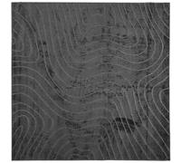vidaXL Tapis d'intérieur et d'extérieur PALMERAS Anthracite Polyester