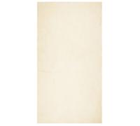 Tapis à Poils Courts Doux et Lavable Moquette Carpette Noir 100x200 cm vidaXL