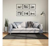 Vidaxl Tapis Istan À Poils Longs Aspect Brillant Anthracite 120x170 Cm