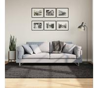 vidaXL Tapis à Poils Longs Aspect Brillant, Moquette de Sol, Tapis de Zone, Carpette de Salon Bureau Chambre, Moderne, Anthracite 160x230 cm