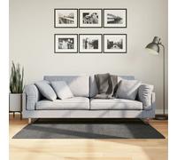 Vidaxl Tapis Iza Poils Courts Style Scandinave Anthracite 80x150 Cm