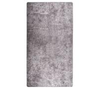 Vidaxl Tapis Lavable Antidérapant 190x300 Cm Gris