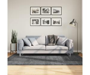 Vidaxl Tapis Oviedo À Poils Courts Anthracite 140x200 Cm