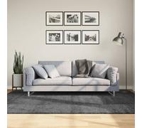 Vidaxl Tapis Oviedo À Poils Courts Anthracite 160x230 Cm