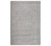 Vidaxl Tapis Shaggy Antidérapant Gris Clair 120x170 Cm