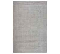 Vidaxl Tapis Shaggy Antidérapant Gris Clair 200x290 Cm