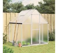 Vidaxl Serre Avec Cadre De Base Argent 169x169x195 Cm Aluminium