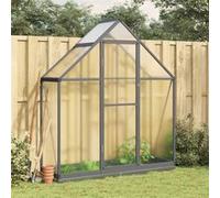 Serre avec cadre de base anthracite 169x58x202 cm aluminium