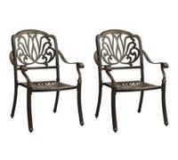 vidaXL Tuinstoelen 2 st gietaluminium bronskleurig315567 Bronze G