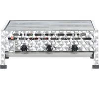 vidaXL vidXL Gril à gaz gastro 3 feux acier inoxydable argenté