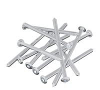 vidaXL Vis 1000 pcs Argenté M6 x 100 mm Acier, Aventures, cylindriques, expéditions Nocturnes avec des Vues Uniques et des expériences inoubliables Tout au Long du Chemin