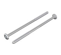 vidaXL Vis 2 pcs Argenté M6 x 120 mm Acier, Aventures, cylindriques, expéditions Nocturnes avec des Vues Uniques et des expériences inoubliables Tout au Long du Chemin