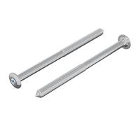 vidaXL Vis 2 pcs Argenté M6 x 85 mm Acier, Aventures, cylindriques, expéditions Nocturnes avec des Vues Uniques et des expériences inoubliables Tout au Long du Chemin