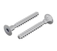 vidaXL Vis 2 pcs Zincé 5 x 40 mm Fer, Atelier, Cylindrique, Moderne, Techniques Durables pour Créer des Structures Résistantes et des Designs Fonctionnels