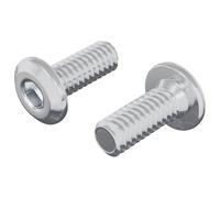 vidaXL Vis à Tête Bloquée 2 pcs Argenté M6 x 15 mm Acier
