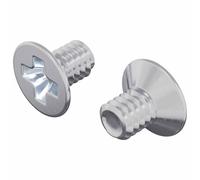 vidaXL Vis à tête fraisée 2 pcs Argenté M4 x 6 mm Acier, Salon, vis durables, Fixation en Acier Inoxydable, composant intérieur extérieur, Outil matériel Multi-Usage pour projets