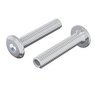 vidaXL Vis de verrou Uni 2 pcs Argenté M6 x 30 mm Acier