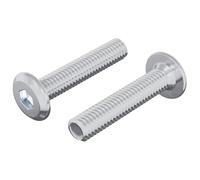 vidaXL Vis de verrou Uni 2 pcs Argenté M6 x 30 mm Acier