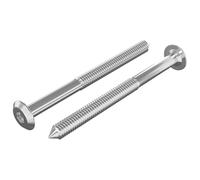 vidaXL Vis pour Meubles 2 pcs Argenté M6 x 85 mm Acier, Meubles durables, vis pour Le Salon, Solutions de Fixation, intérieur, extérieur, résistantes à la Rouille