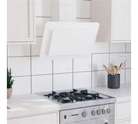vidaXL Wandafzuigkap 60 cm roestvrij staal en gehard glas wit51663 Blanc G