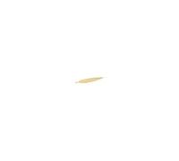 HOME DECO FACTORY - HD2230 - Vide Poche Metal Feuille Dore Deco Rangement Decoration Vide-Poche Coupelle