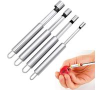 Vide Pomme, 4 Pièces Enleve Trognon Pomme, Vide Pomme en Acier Inoxydable Outil avec Lame Dentelée pour la Cuisine à Domicile, 4 Tailles