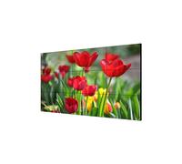 VIDEOWALL 55in 3.5MM 500CD