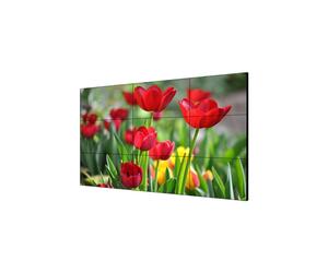 VIDEOWALL 55in 3.5MM 500CD